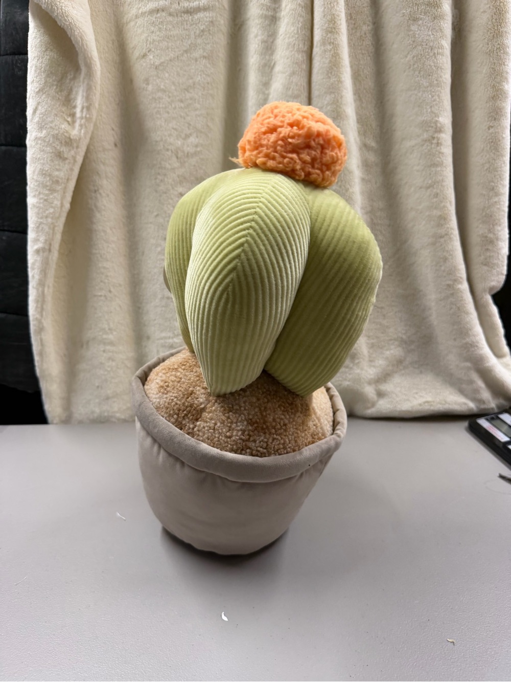 Cute Cactus - Picture 3 of 7